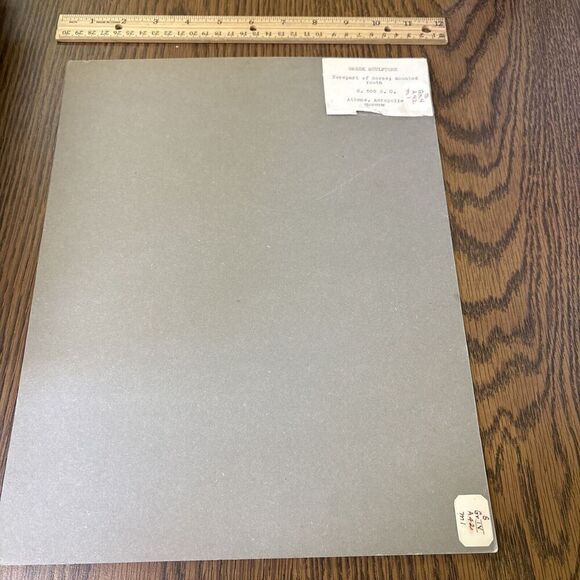 Vintage Horse & Mounted Youth Rider Greek Sculpture Photo Acropolis Museum - Picture 3 of 3